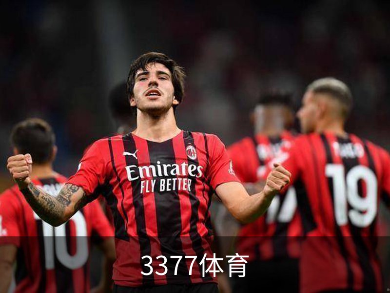 了解3377体育